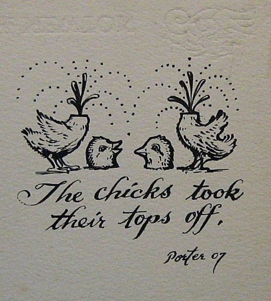 The chicks took their tops off Large Web view.jpg